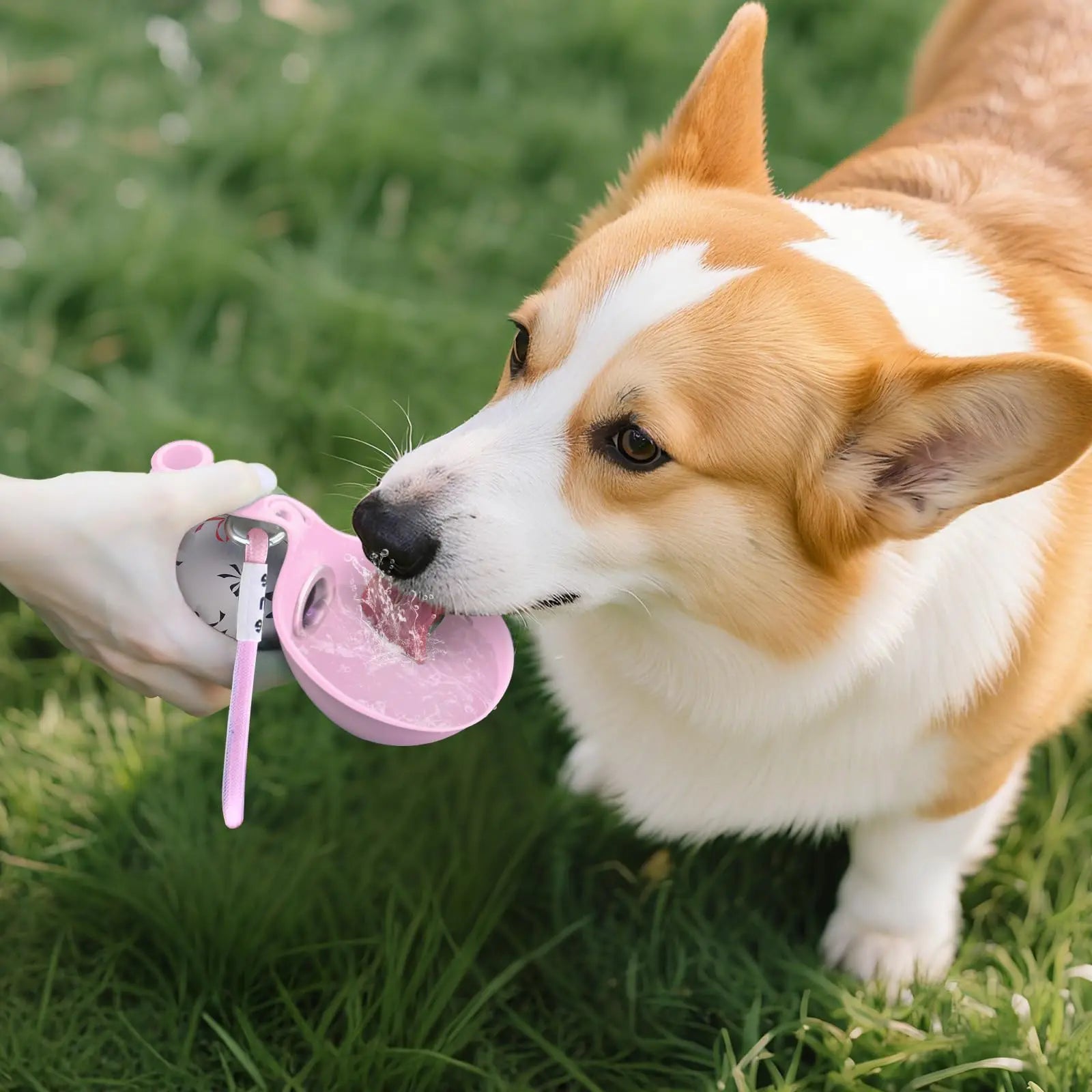 Portable Dog Water Bottle for Small Dogs - 2-in-1 Leak-Proof Travel Feeder