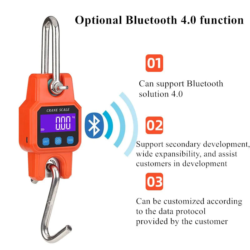 Precision 300kg Bluetooth Crane Scale | USB Digital Hanging Hook