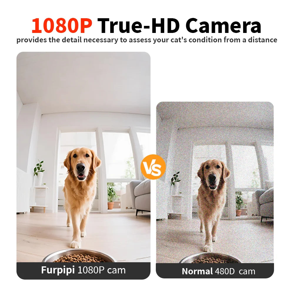 8L Smart Automatic Cat Feeder with 1080p Camera & 5G WiFi App Control