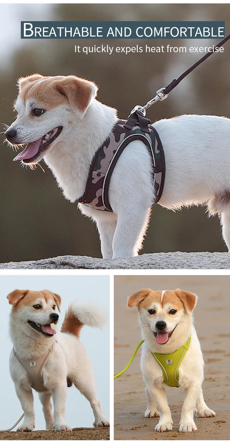 Dog Harness Leash Set - Adjustable, Reflective for Small to Medium Pets