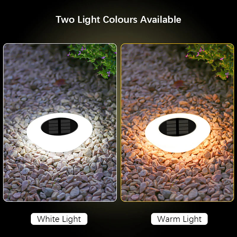 SHENZHITECH Solar Ground Lights - High-Efficiency Landscape Lighting