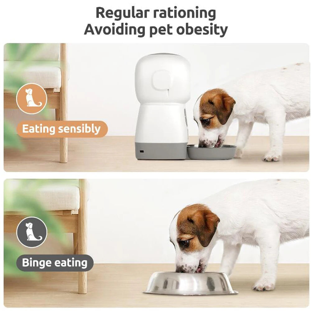 ZYfeeder WiFi Automatic Cat Feeder - Swirl Slow-Feed Dispenser