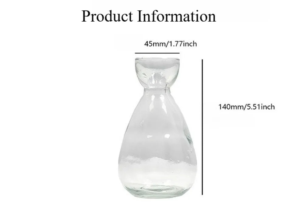 Elegant Hydroponic Glass Vase - Desktop Decor Planter