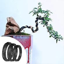 Vabena 24-Piece Bonsai Tool Kit for Beginners - Complete Care Set