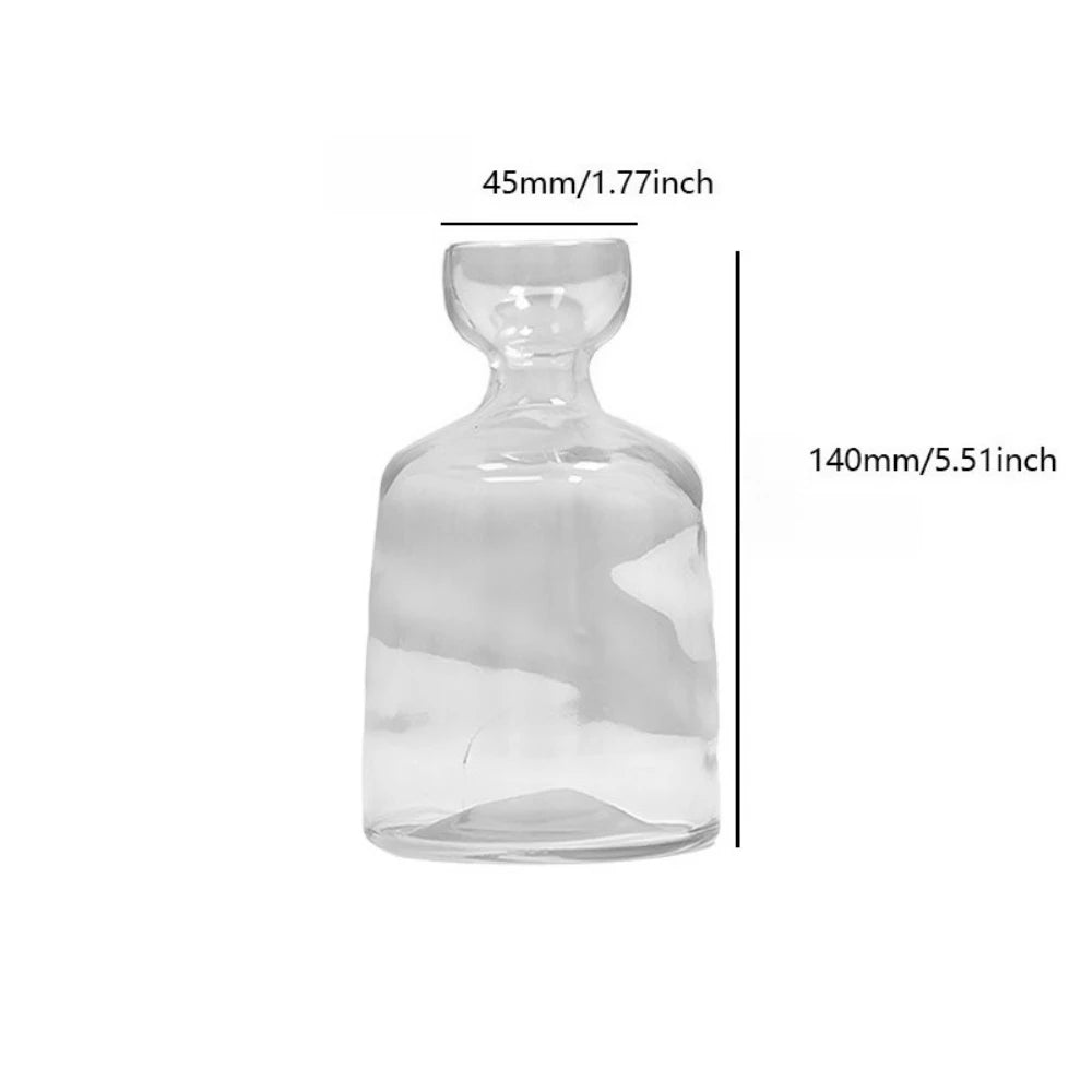 Elegant Hydroponic Glass Vase - Desktop Decor Planter