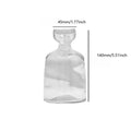 Creative Hydroponic Glass Seed & Avocado Planter Vase | Modern Home Decor