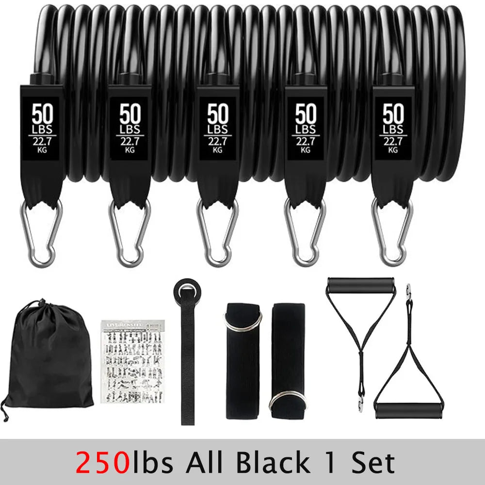 Resistance Bands Set: Full Body Workout for Strength Training & Fitness