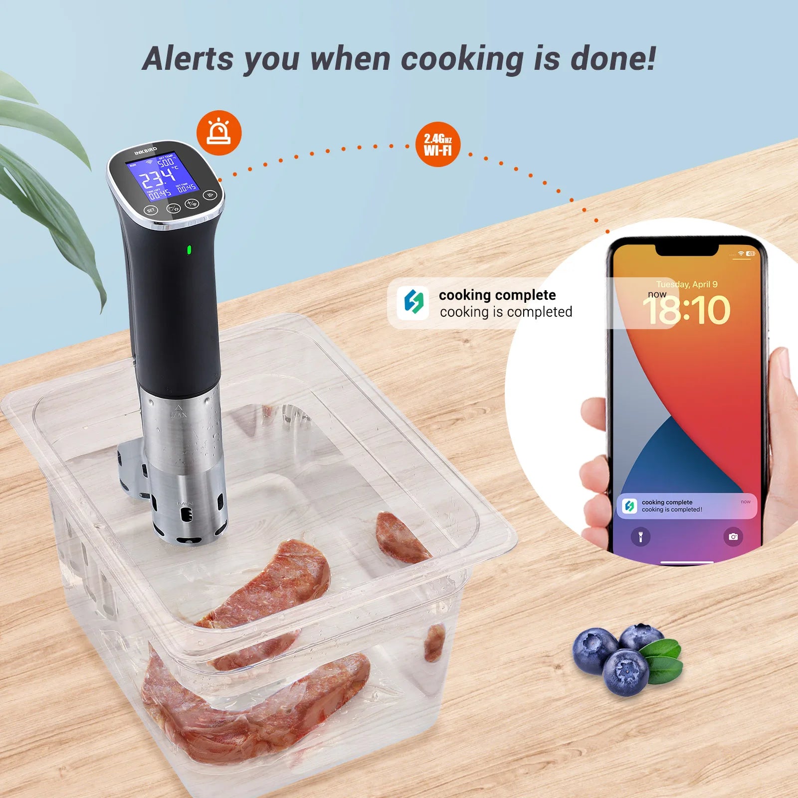 INKBIRD ISV-300W WiFi Sous Vide Machine - Precision Cooking