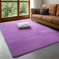 VIKAMA Modern Coral Velvet Carpet - Soft Non-Slip Living Room & Bedroom Mat