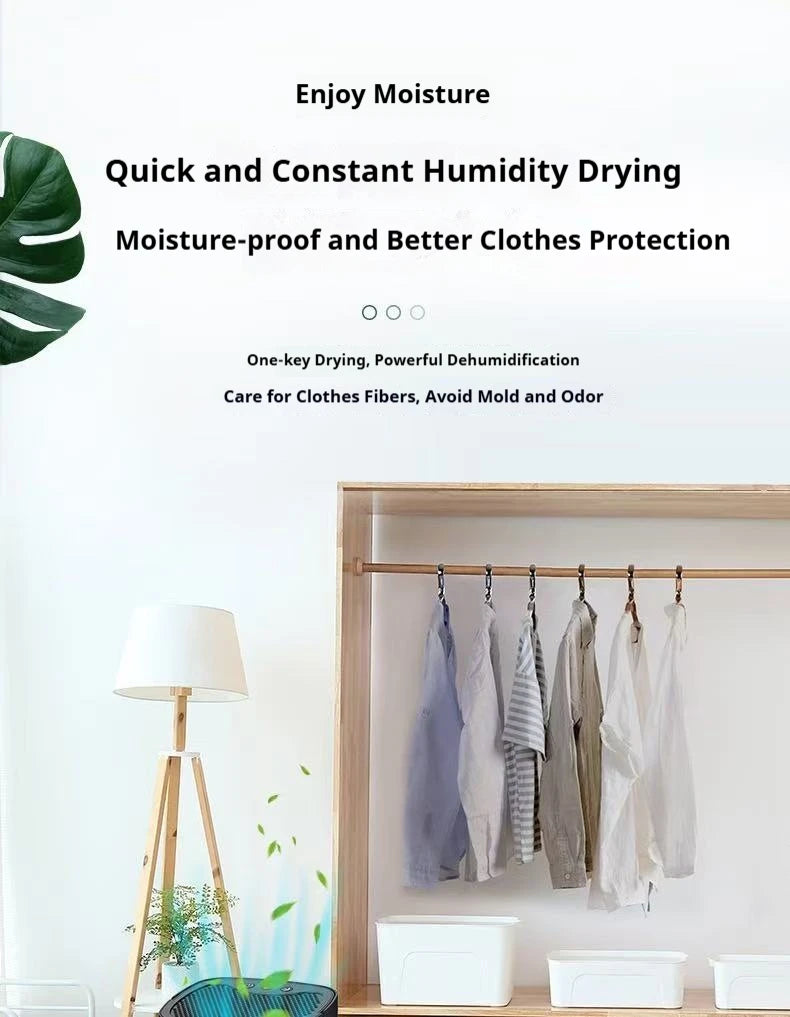Homefish Portable Mute Dehumidifier | Moisture Absorber & Air Dryer for Home, Office