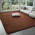 VIKAMA Modern Coral Velvet Carpet - Soft Non-Slip Living Room & Bedroom Mat