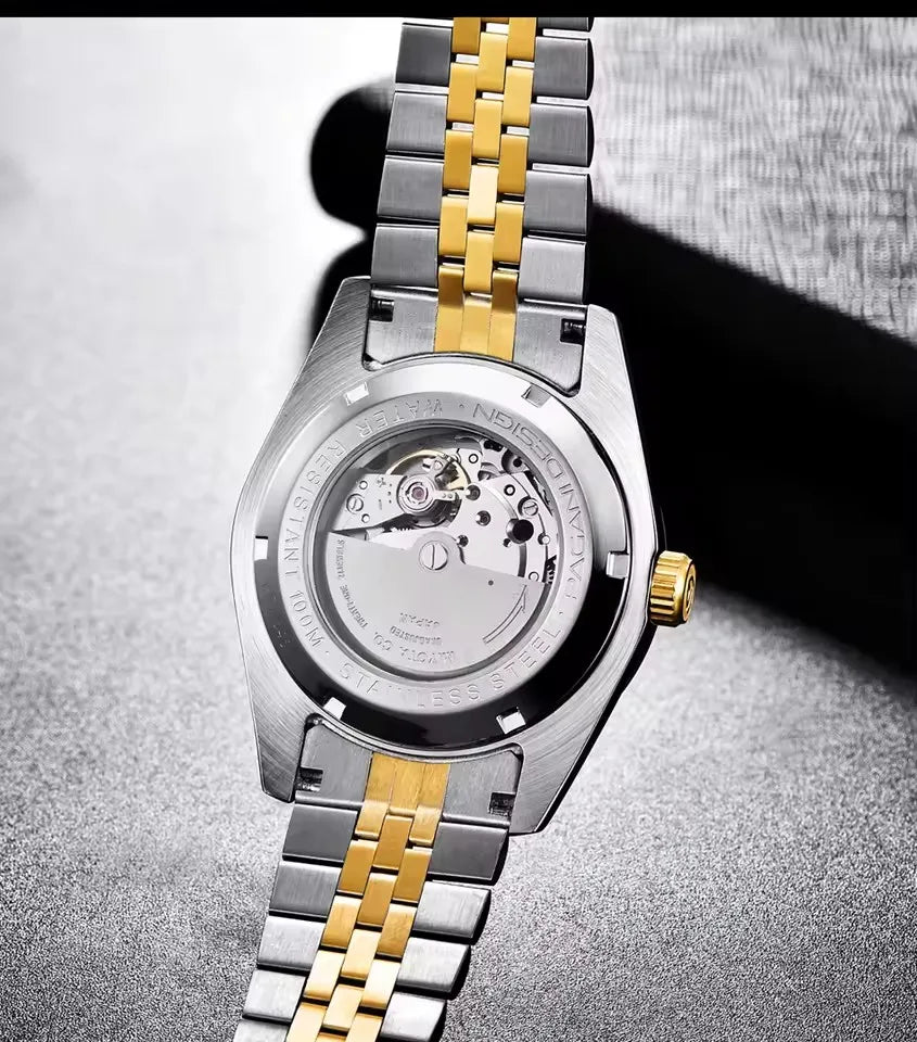 PAGANI DESIGN 2026 DateJust Luxury Men's Mechanical Watch PD-1645