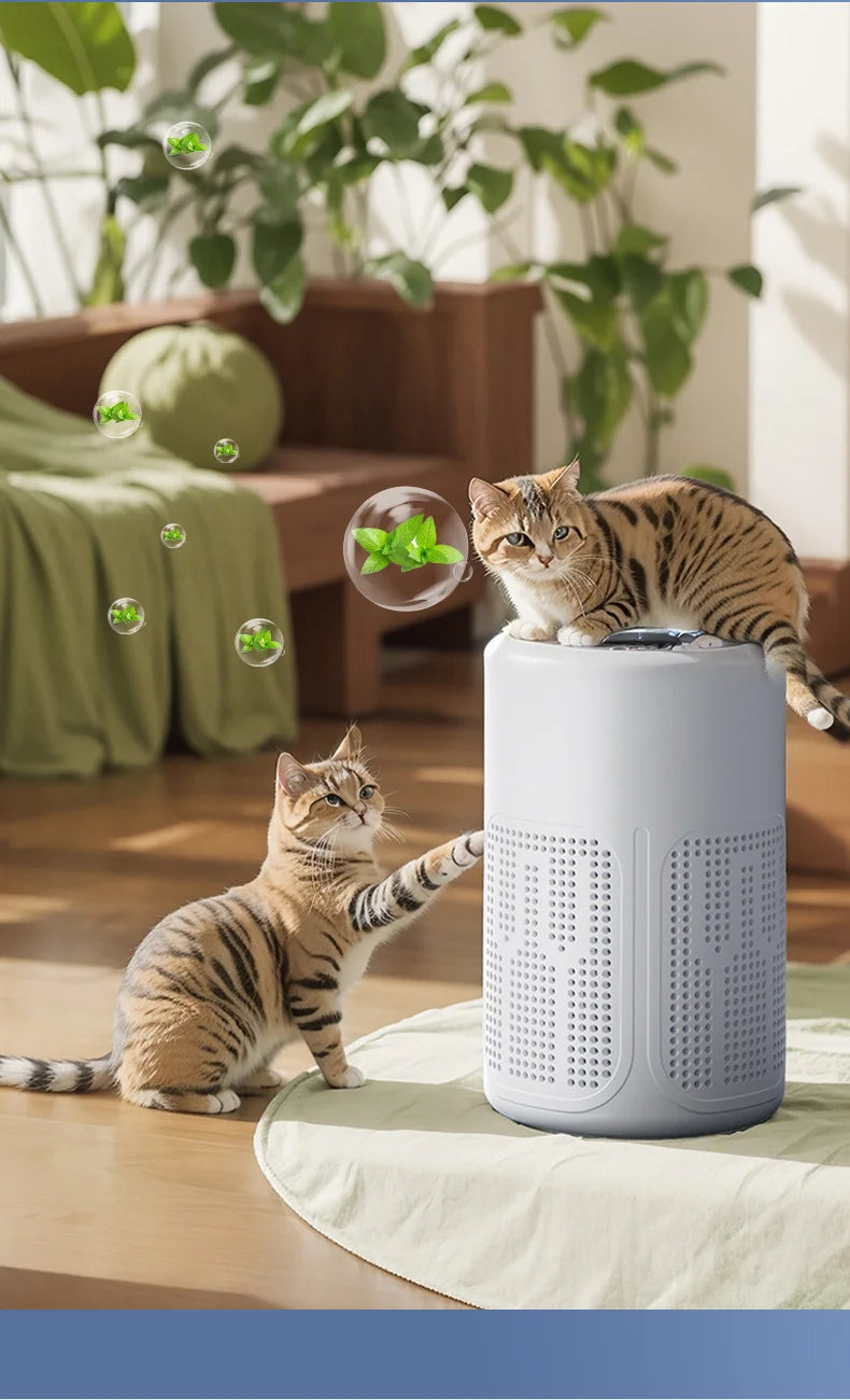 TINSOL Mini Air Purifier - HEPA Filter & Negative Ion Technology