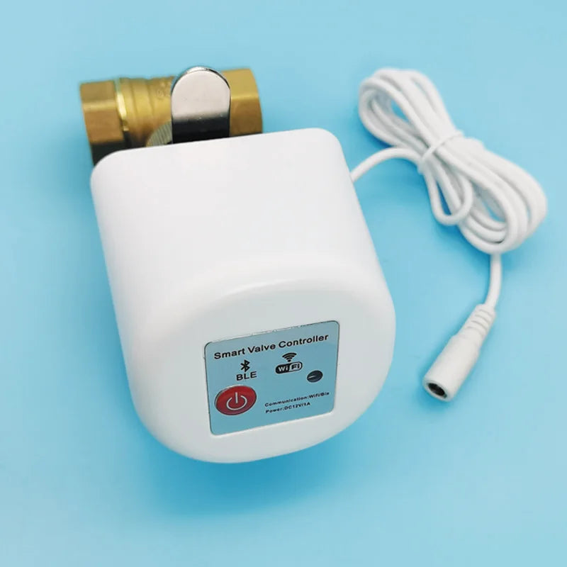 Vabena Tuya Smart Water Valve - Remote Control & Leak Detection