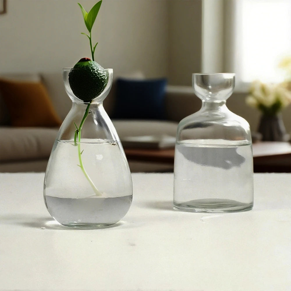 Elegant Hydroponic Glass Vase - Desktop Decor Planter