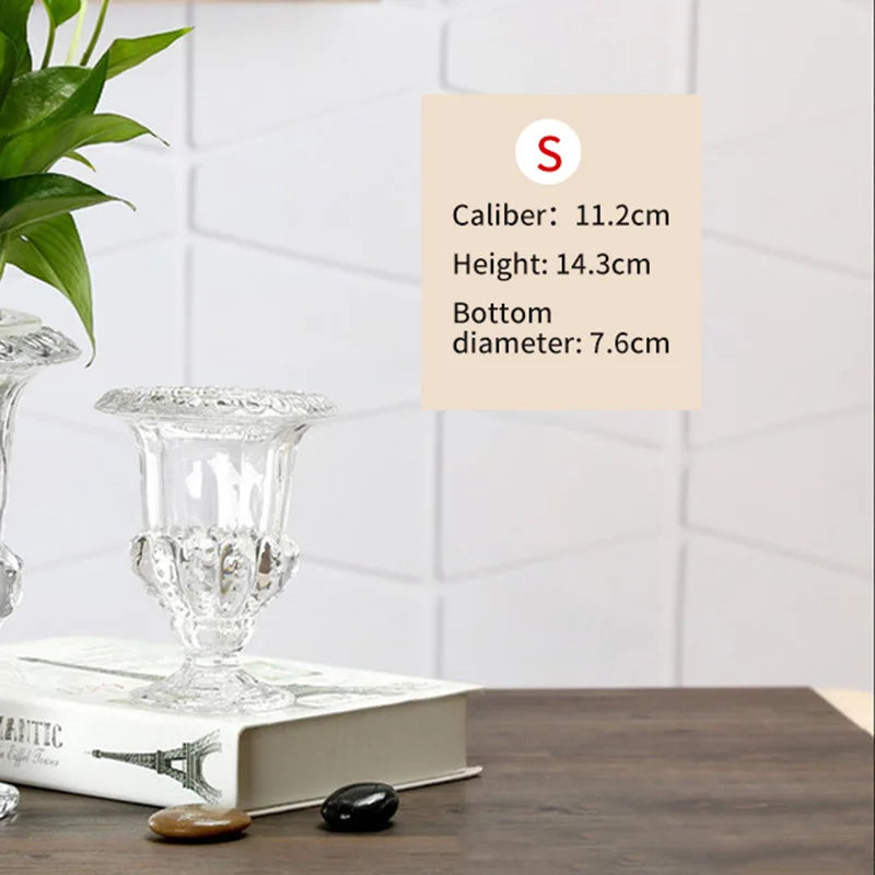Elegant Clear Glass Flower Vase | Modern Table Decor