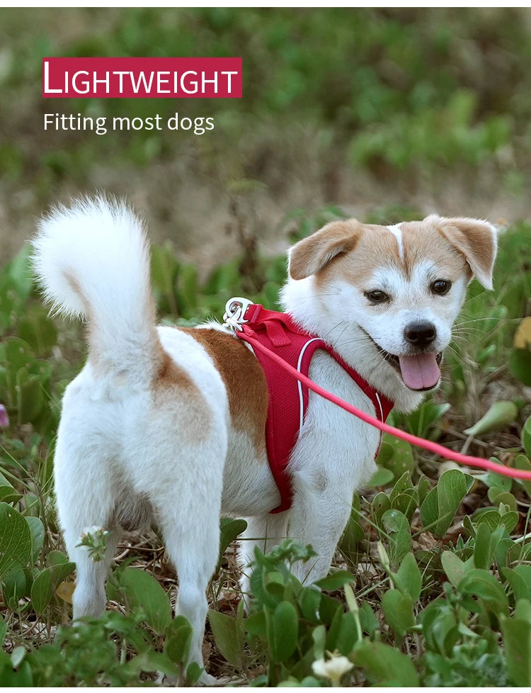 Dog Harness Leash Set - Adjustable, Reflective for Small to Medium Pets