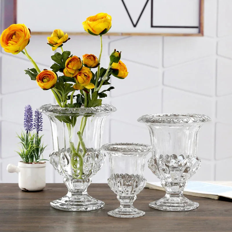Elegant Clear Glass Vase - Minimalist Home Decor