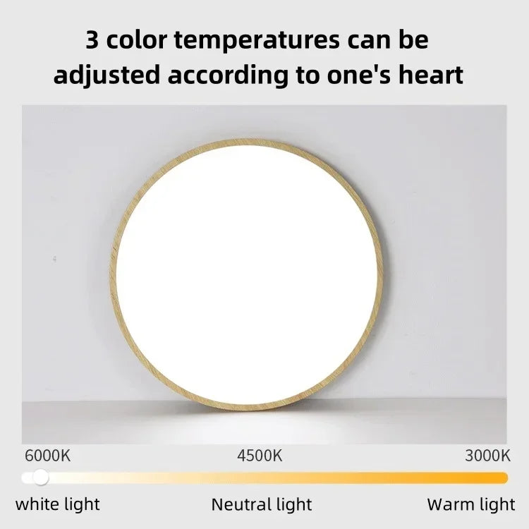 Modern Circular LED Ceiling Light - Ultrathin Wood Grain Walnut Decorative