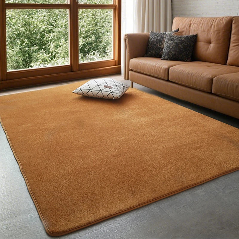 VIKAMA Modern Coral Velvet Carpet - Soft Non-Slip Living Room & Bedroom Mat