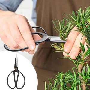 Vabena 24-Piece Bonsai Tool Kit for Beginners - Complete Care Set