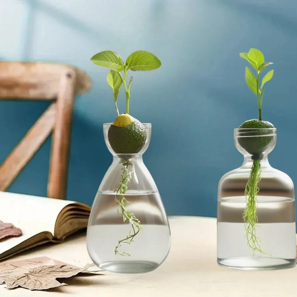 Elegant Hydroponic Glass Vase - Desktop Decor Planter