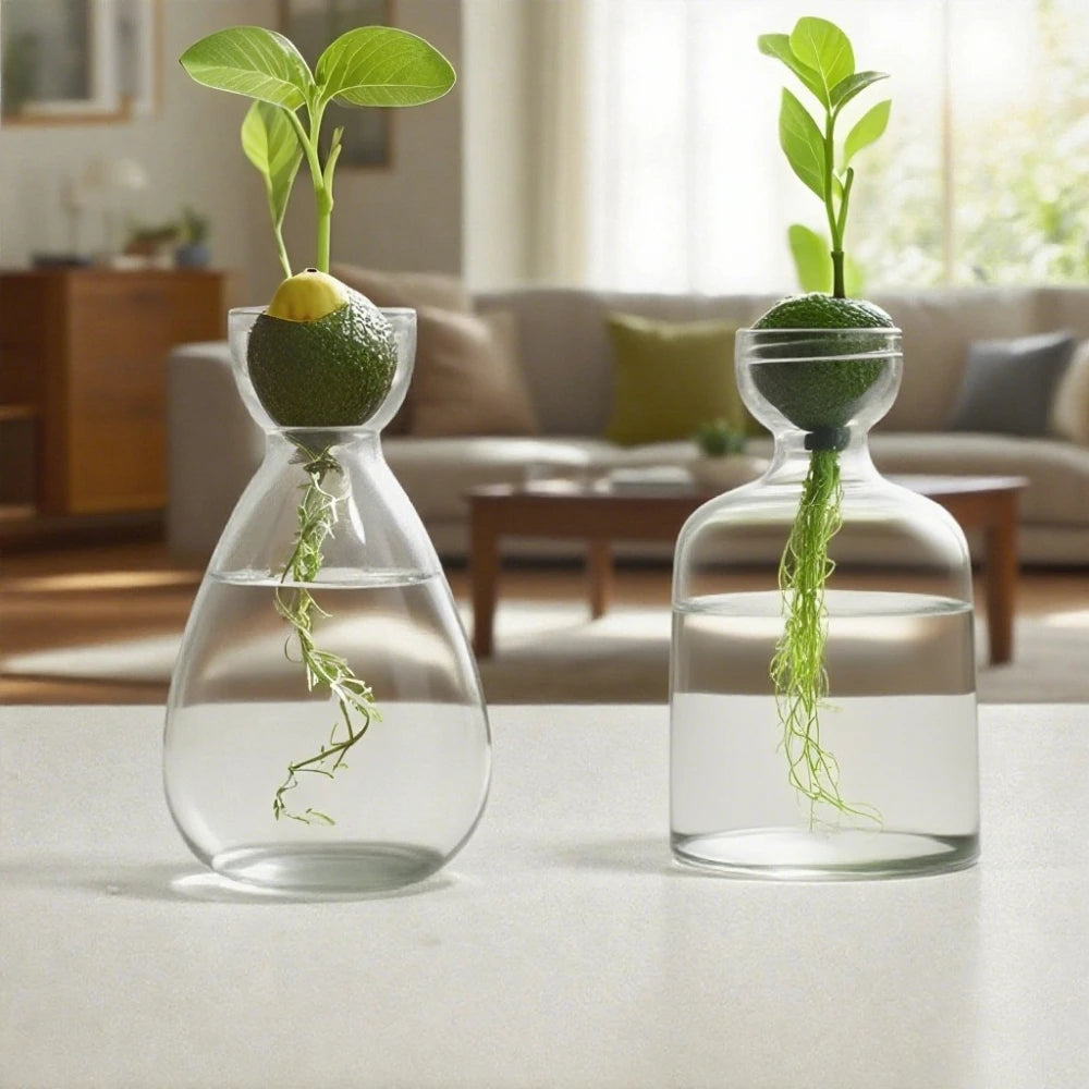 Elegant Hydroponic Glass Vase - Desktop Decor Planter
