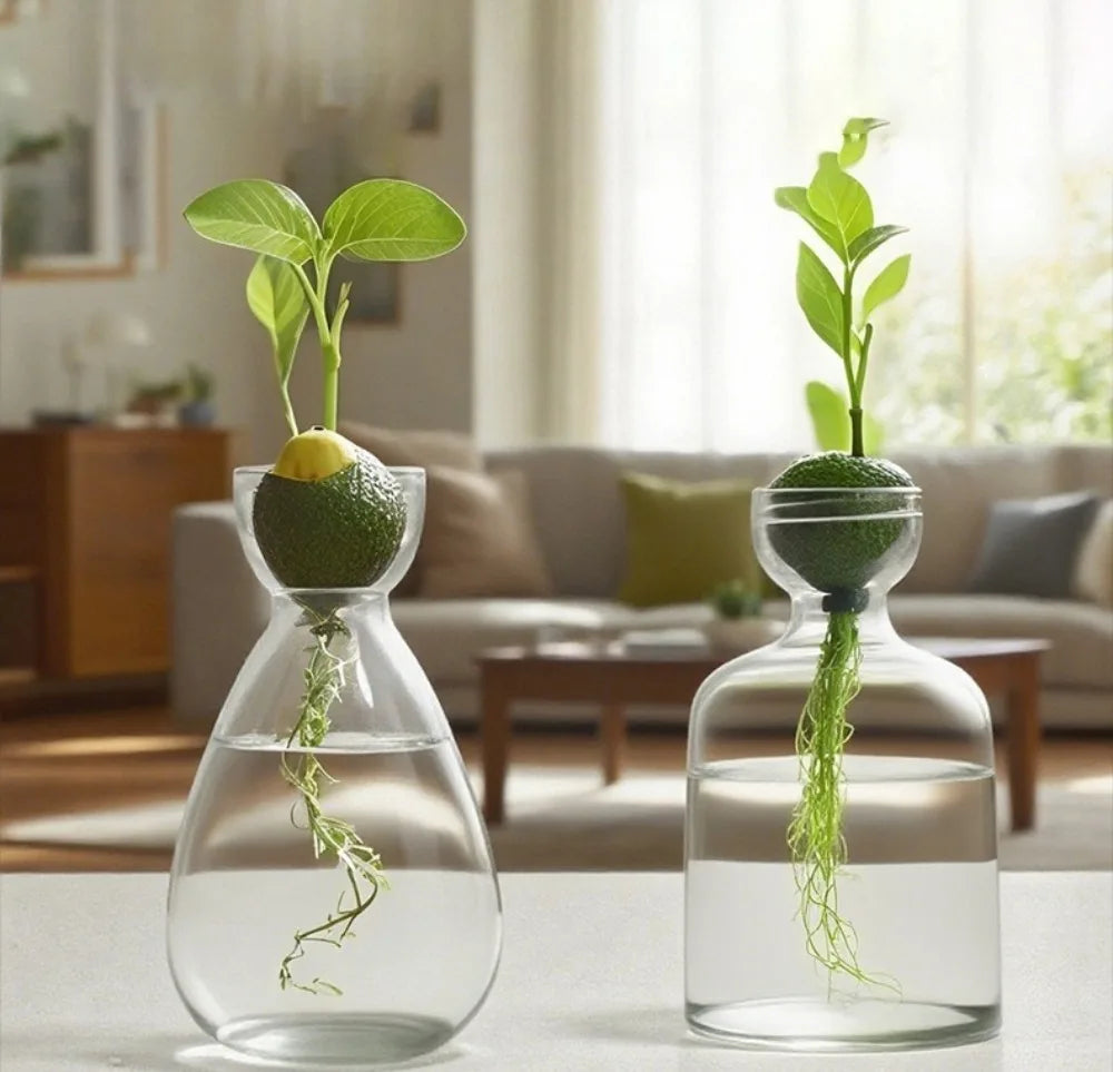 Elegant Hydroponic Glass Vase - Desktop Decor Planter