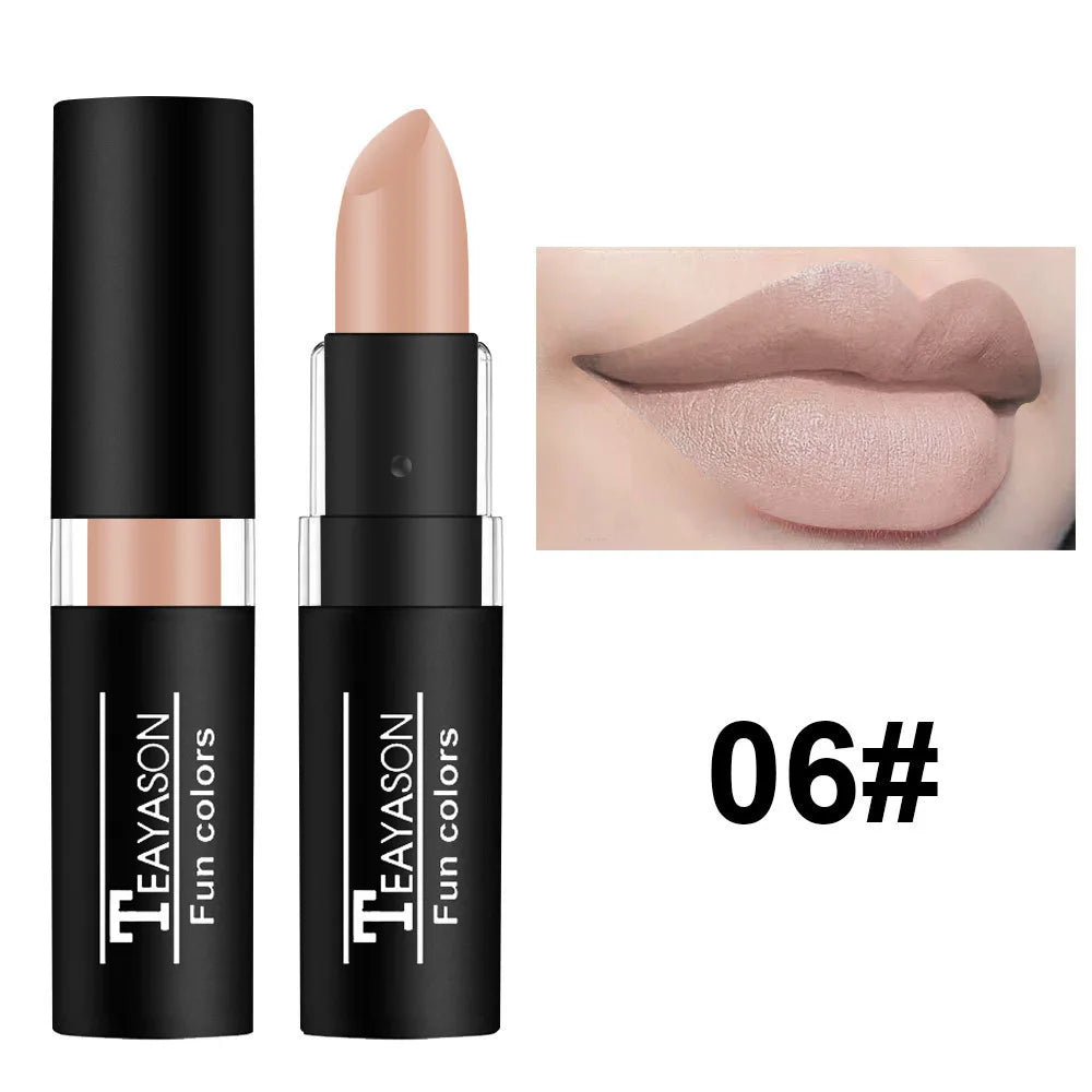 12 Colors Waterproof Matte Lipstick Set - Long Lasting Lip Gloss