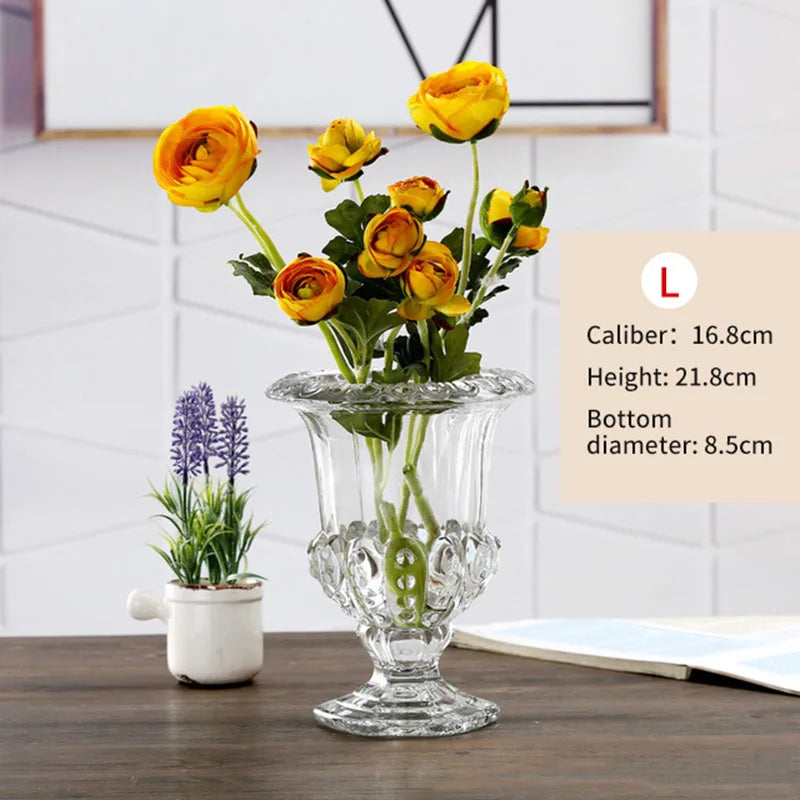 Elegant Clear Glass Vase - Minimalist Home Decor