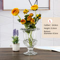 Elegant Clear Glass Vase - Minimalist Home Decor