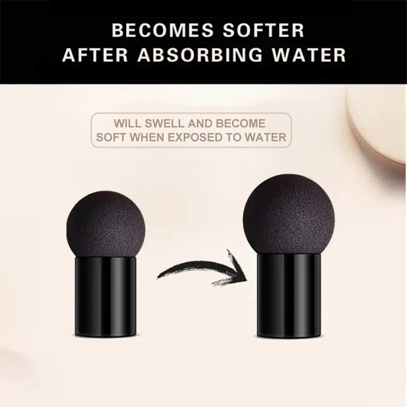 OCHEAL Mushroom Head BB Cream Foundation Concealer Cushion