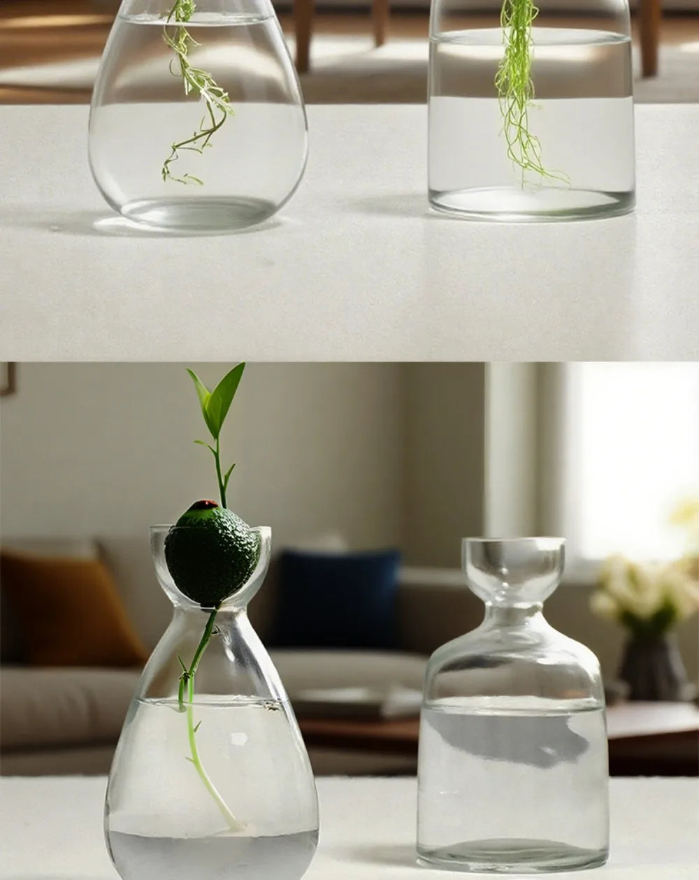 Elegant Hydroponic Glass Vase - Desktop Decor Planter