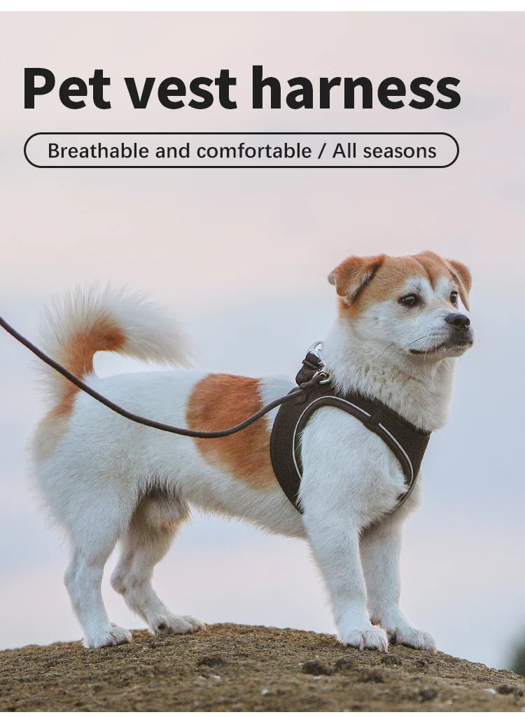 Dog Harness Leash Set - Adjustable, Reflective for Small to Medium Pets