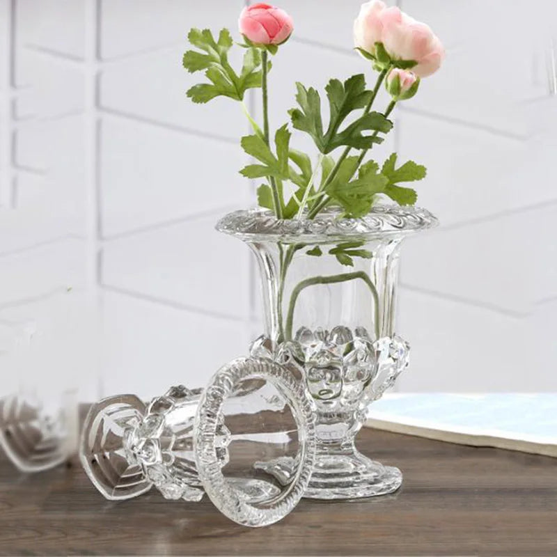 Elegant Clear Glass Vase - Minimalist Home Decor