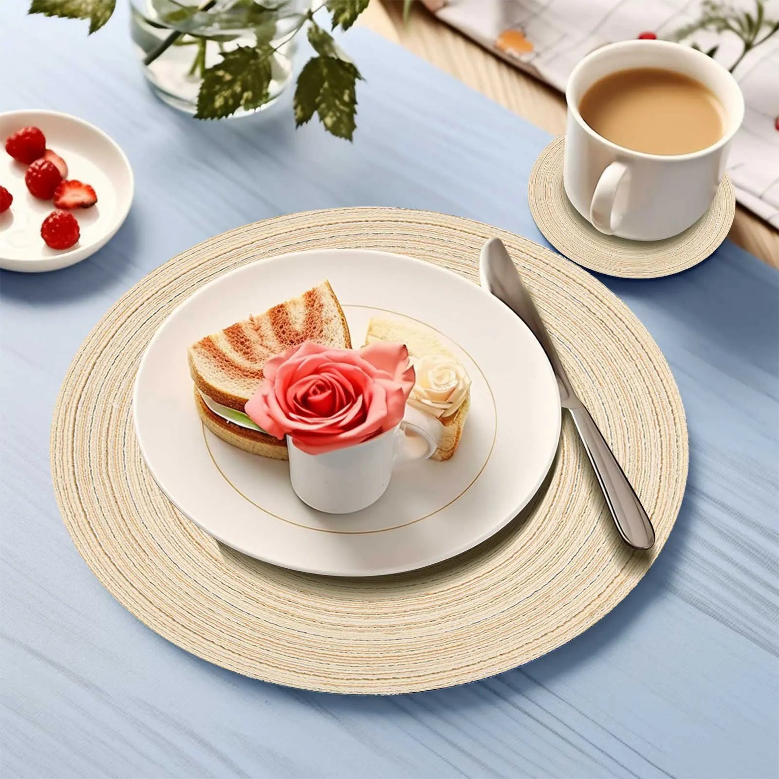 Set of 12 Round Braided Placemats & Coasters | Washable, Heat Resistant & Non-Slip