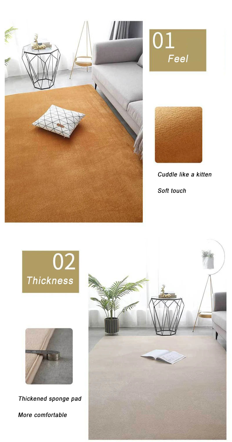 VIKAMA Modern Coral Velvet Carpet - Soft Non-Slip Living Room & Bedroom Mat