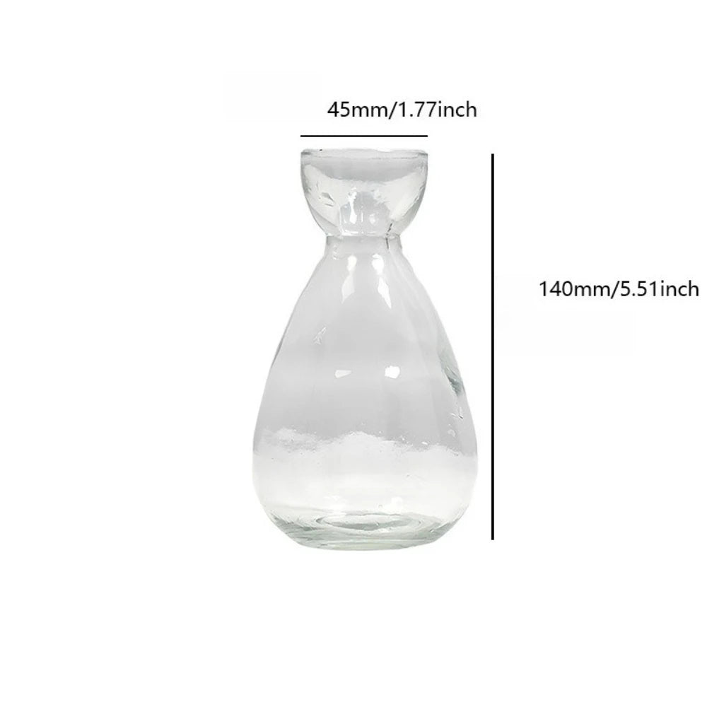 Elegant Hydroponic Glass Vase - Desktop Decor Planter