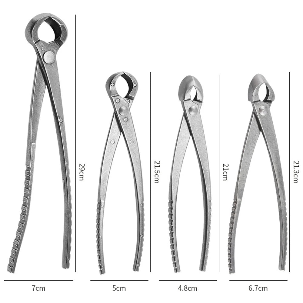 Professional Bonsai Tools: Root Cutter & Pruning Scissors - Stainless Steel