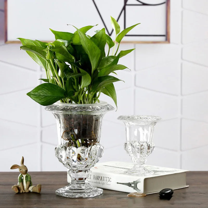 Elegant Clear Glass Vase - Minimalist Home Decor