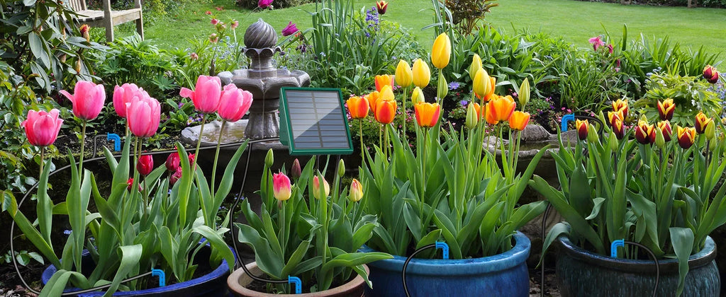 Solar Automatic Drip Irrigation System for Garden & Balcony