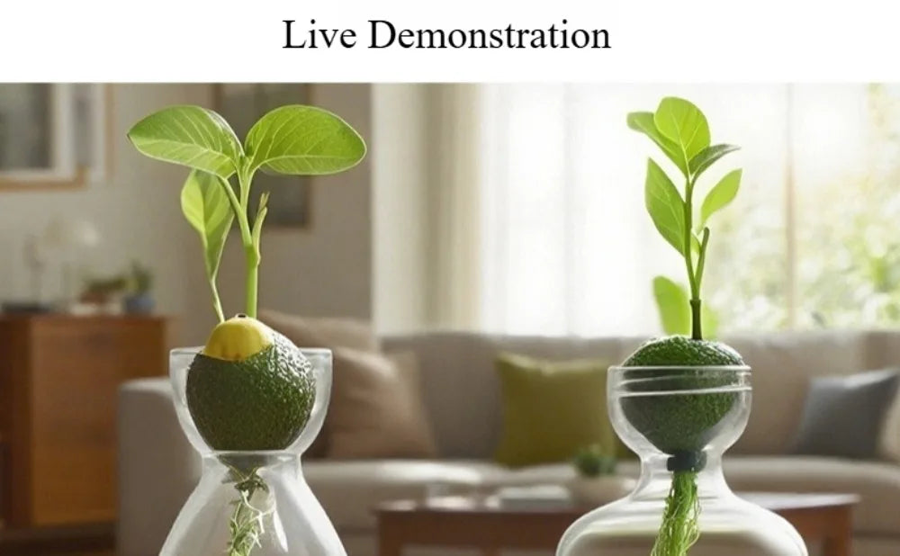 Elegant Hydroponic Glass Vase - Desktop Decor Planter