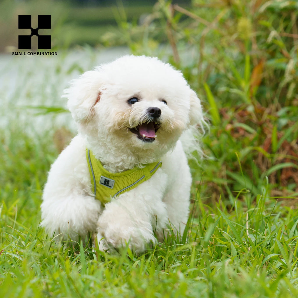 Dog Harness Leash Set - Adjustable, Reflective for Small to Medium Pets