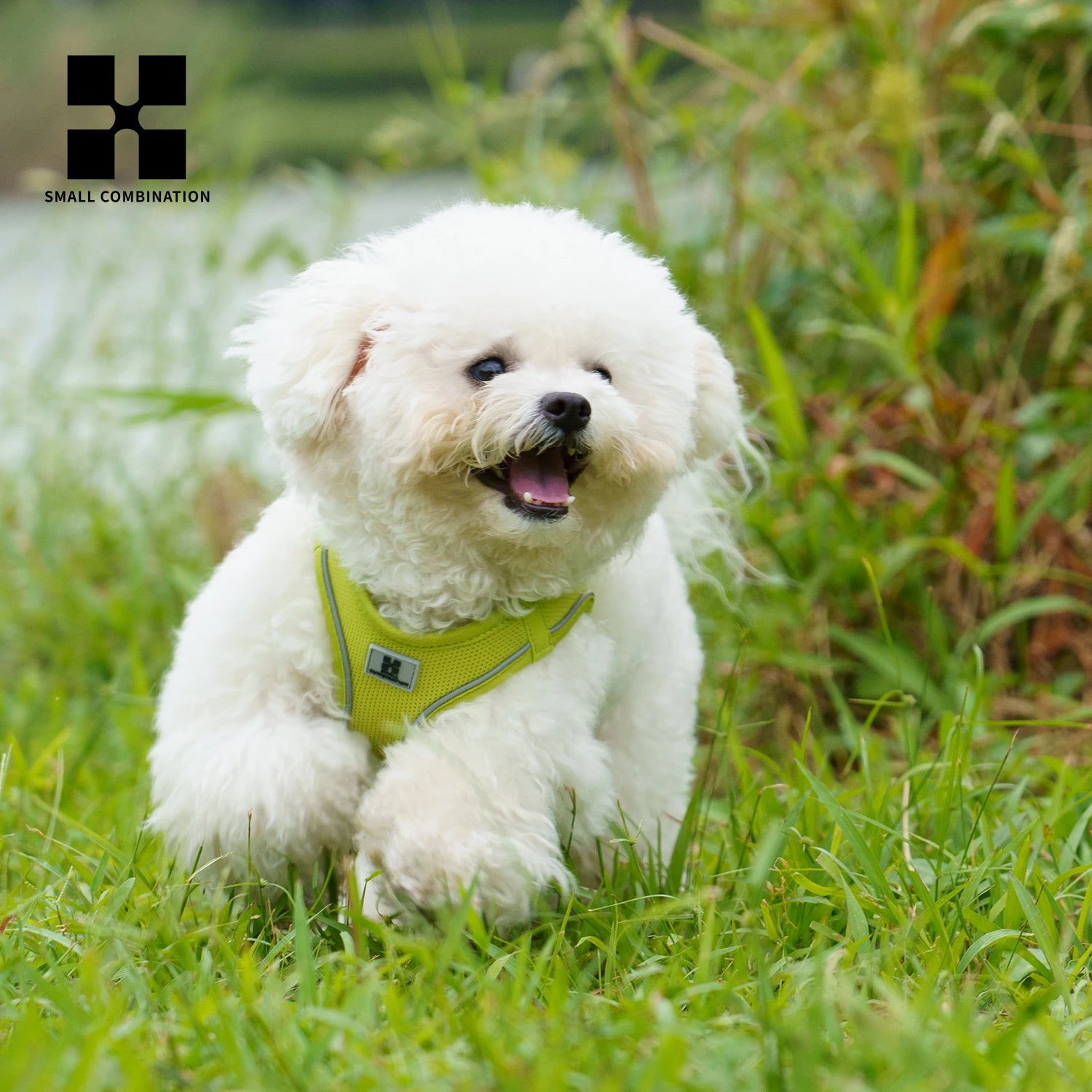 Dog Harness Leash Set - Adjustable, Reflective for Small to Medium Pets