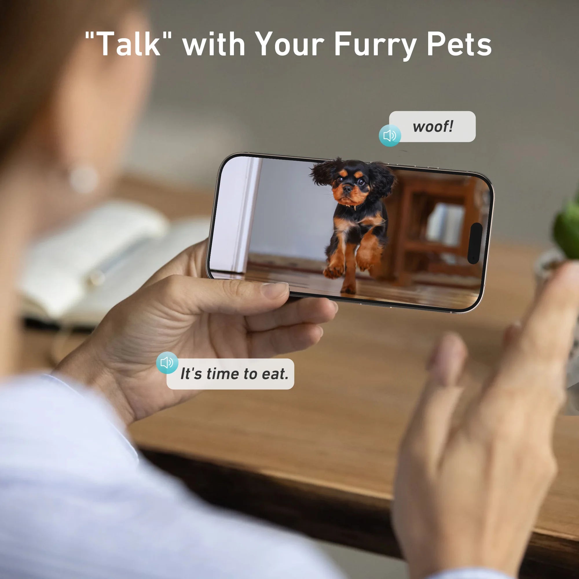 8L Smart Automatic Cat Feeder with 1080p Camera & 5G WiFi App Control