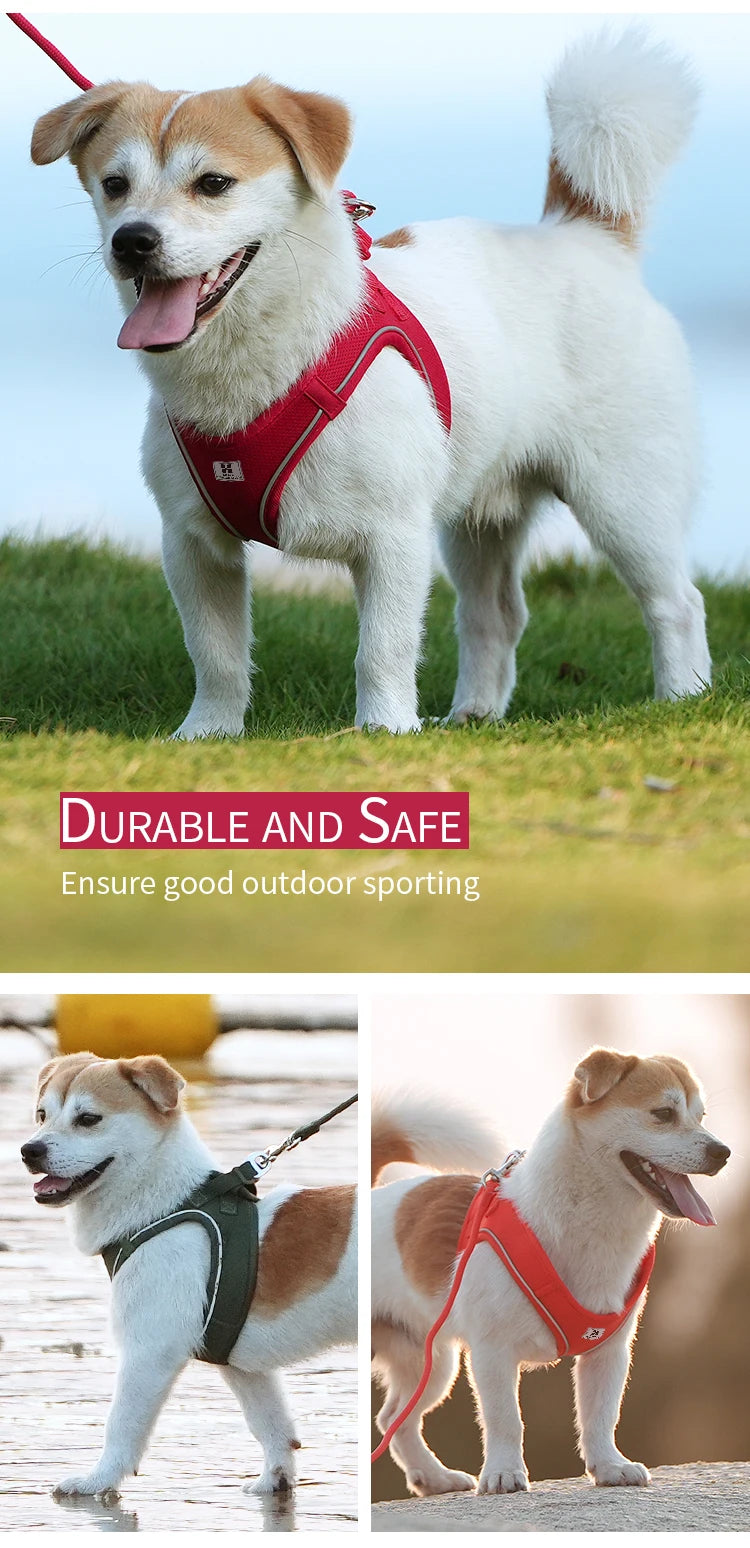 Dog Harness Leash Set - Adjustable, Reflective for Small to Medium Pets