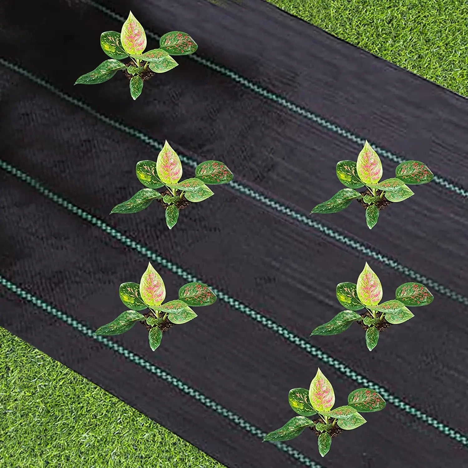 Heavy Duty Woven Weed Barrier Fabric | Non-Slip Ground Control Mat