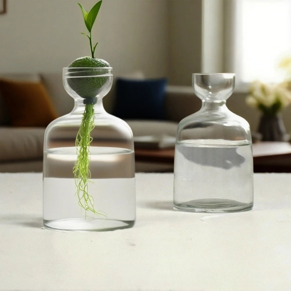 Elegant Hydroponic Glass Vase - Desktop Decor Planter