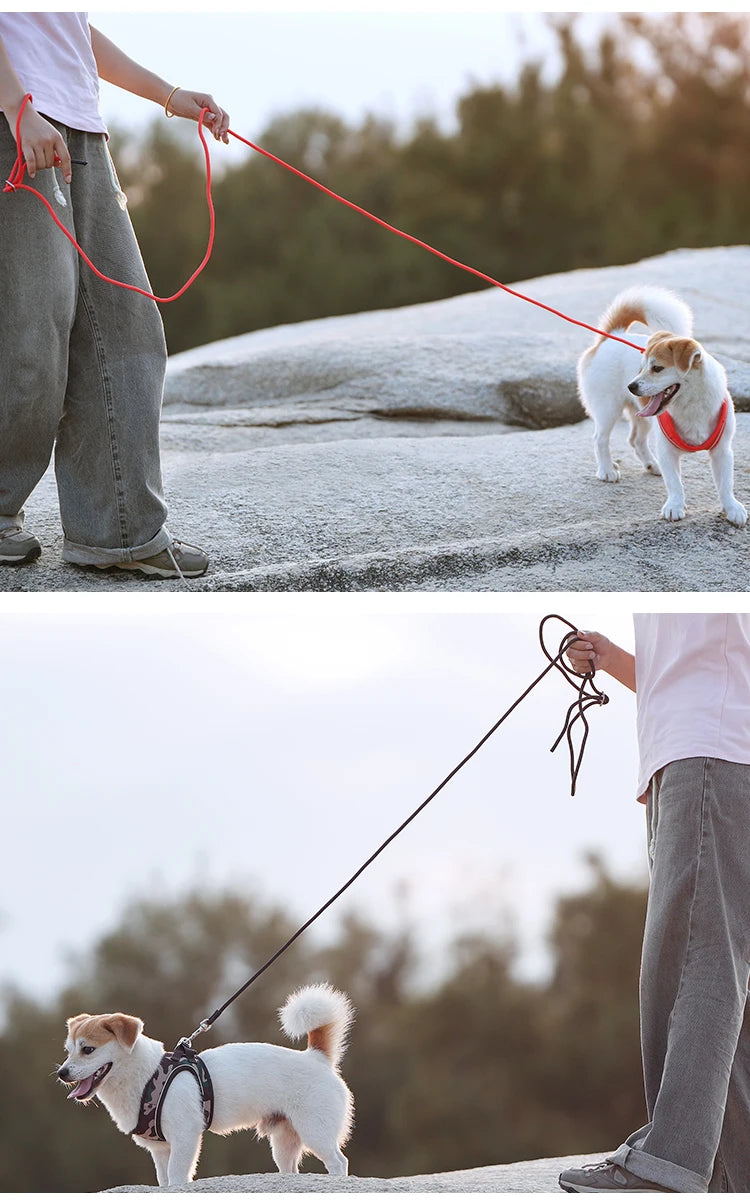 Dog Harness Leash Set - Adjustable, Reflective for Small to Medium Pets