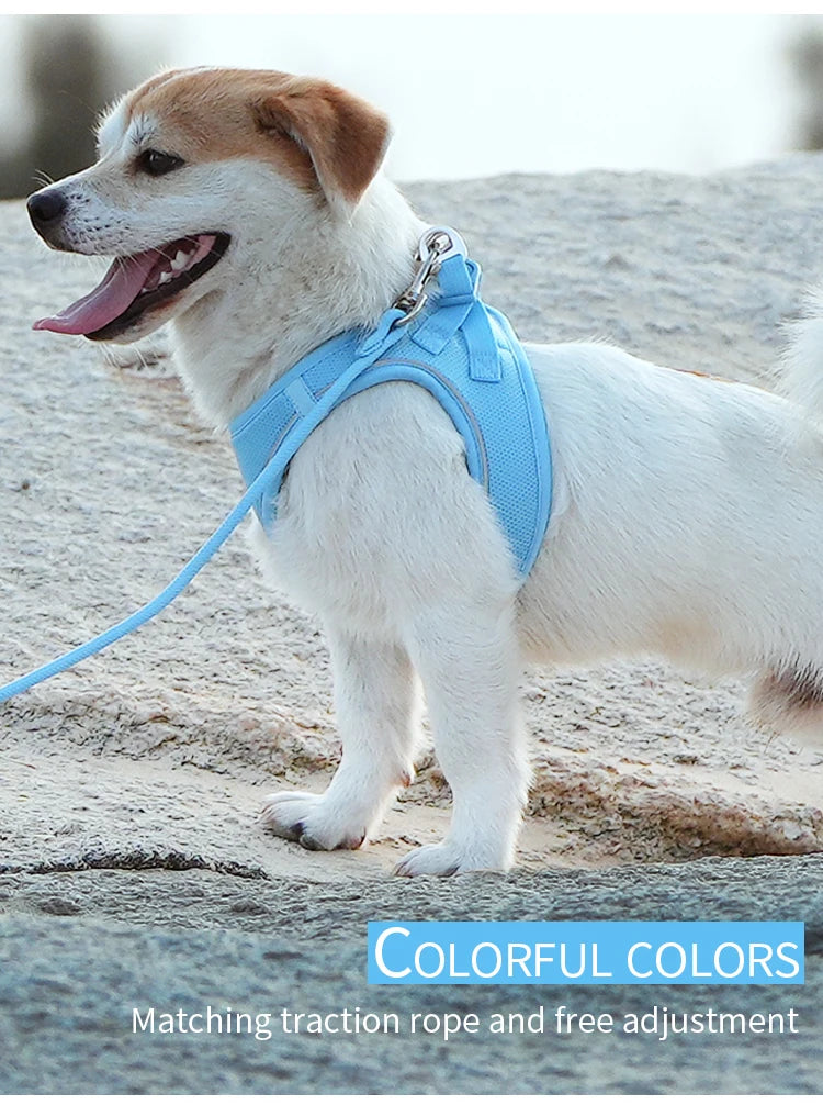 Dog Harness Leash Set - Adjustable, Reflective for Small to Medium Pets